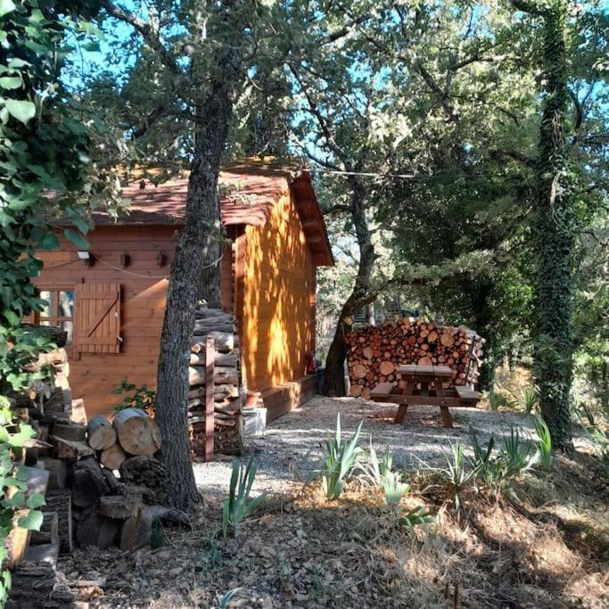 La Cabane En Bois Tourves Екстер'єр фото