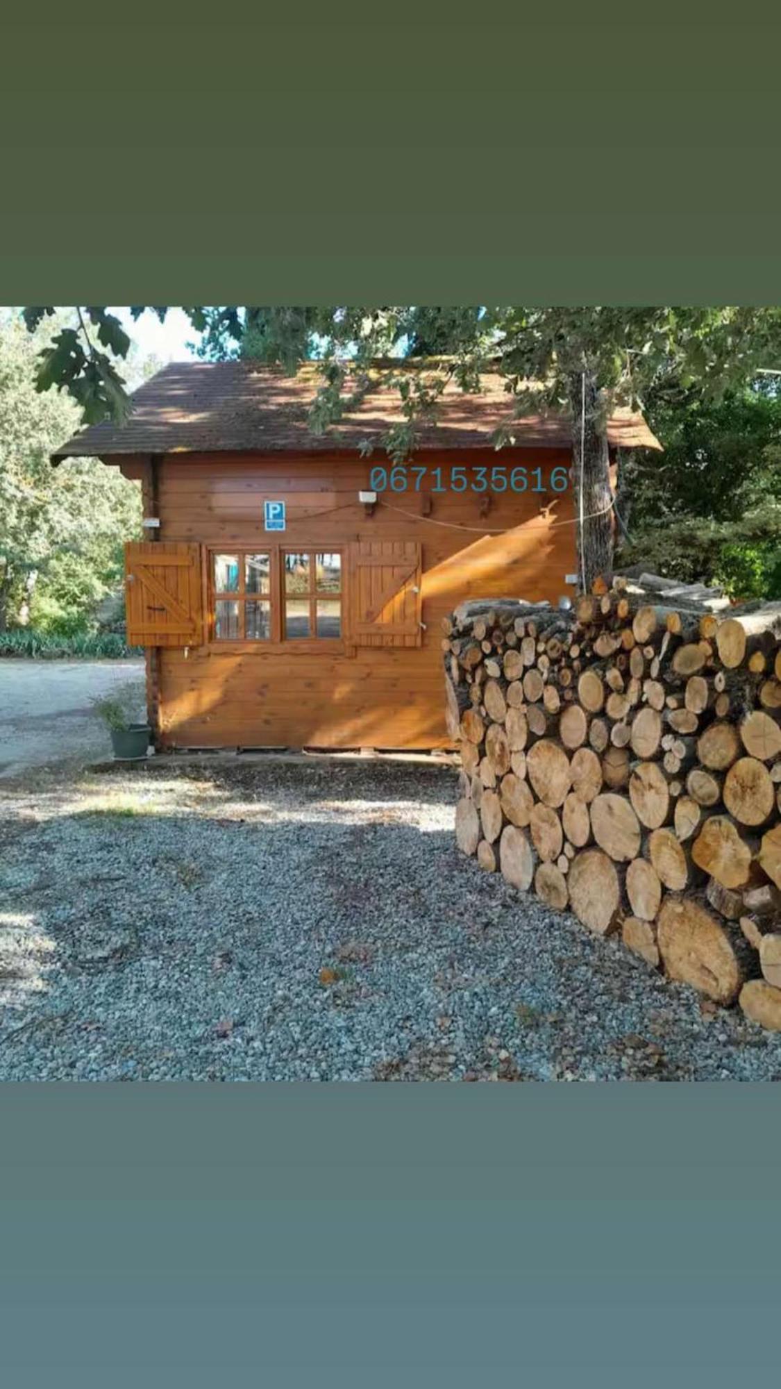 La Cabane En Bois Tourves Екстер'єр фото